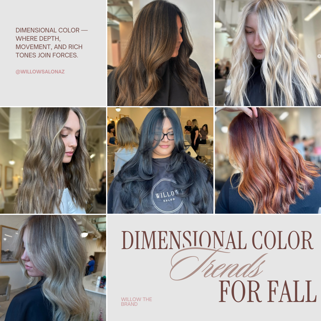 Dimensional Color Trends for Fall 2025 🍂