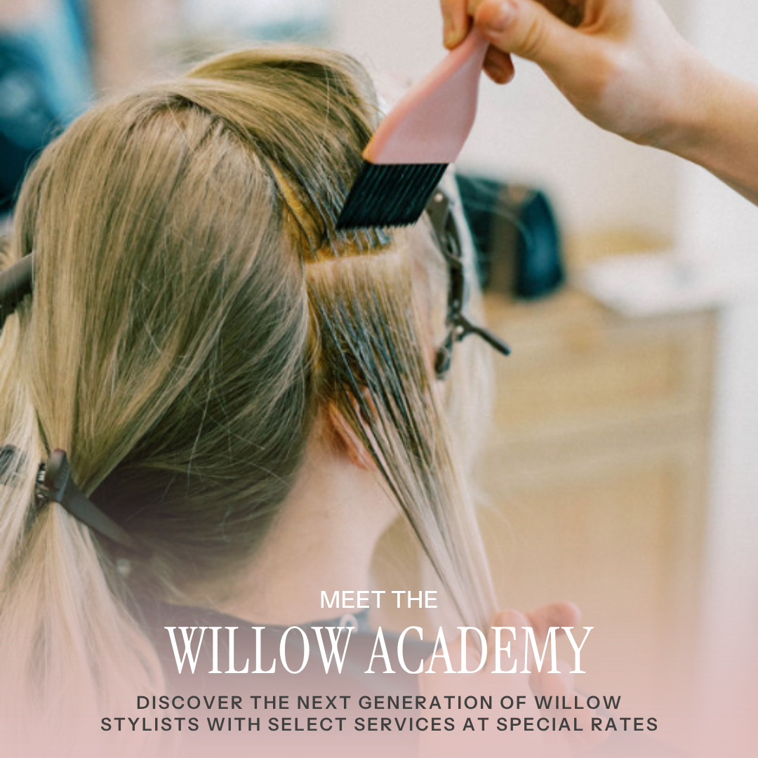 Be Part of What We’re Creating at Willow Academy